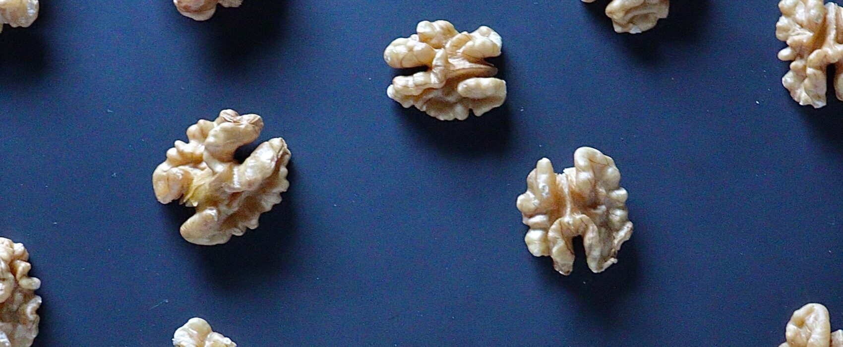 neurons making music